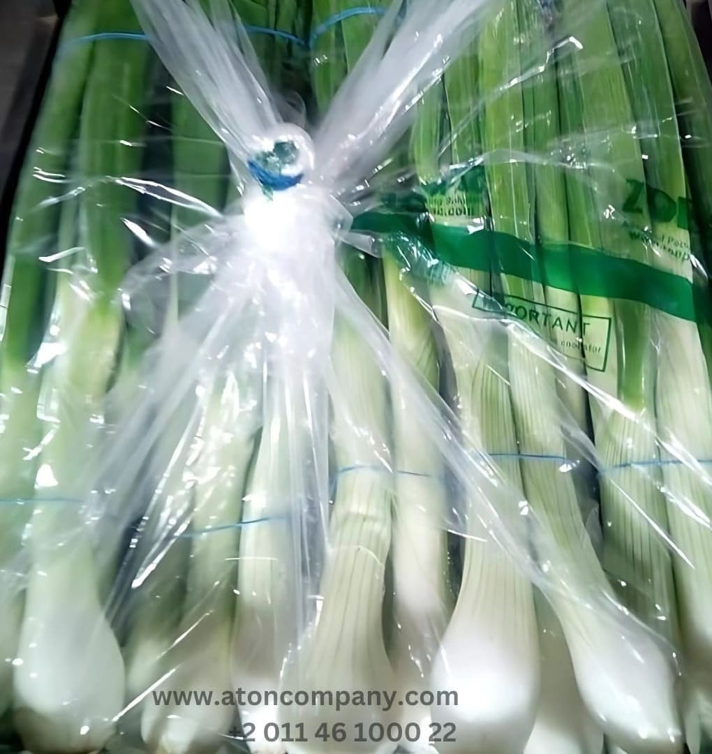 Spring onion